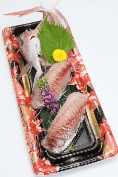 Fresh Kodai Sashimi (小鯛) - Himawari Shoten