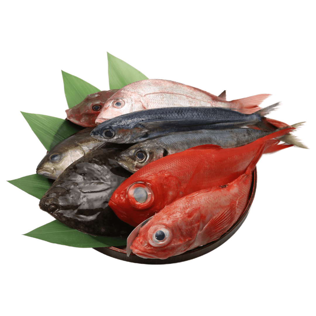 Fresh Whole Fish - Himawari Shoten