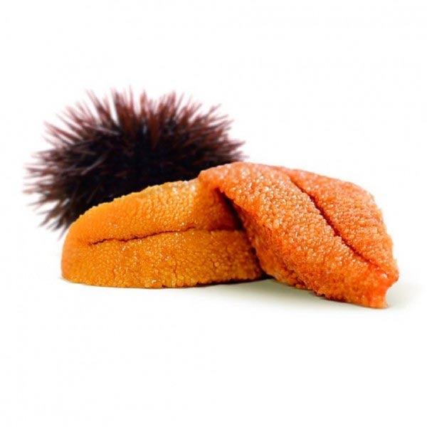 Uni Sashimi - Himawari Shoten