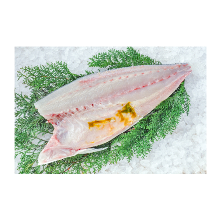 Fresh Kanpachi / Greater Amberjack / カンパチ