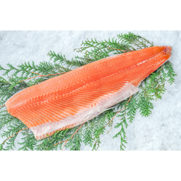 Fresh Salmon Whole (鮭・丸)