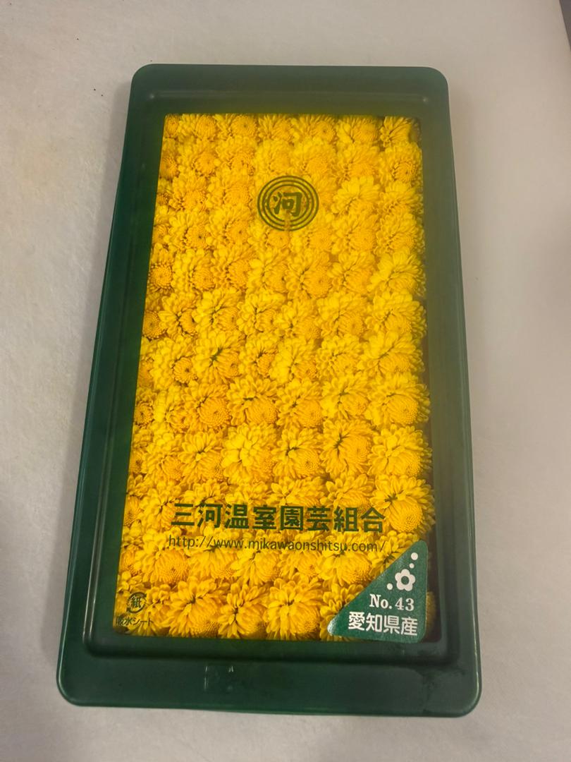 Kogiku /Edible Chrysanthemum Flowers/小菊 (30 pcs)