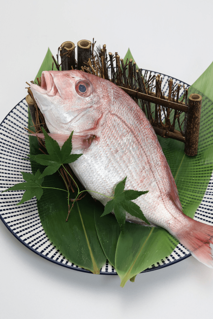 Fresh Kodai - Himawari Shoten