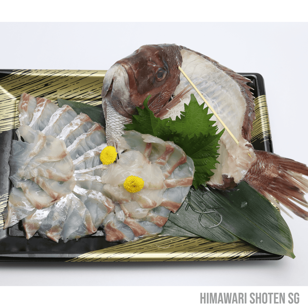 Fresh Madai Tai Sashimi (真鯛・マダイ) - Himawari Shoten