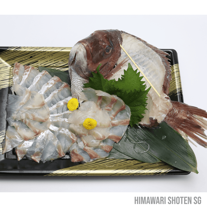 Fresh Madai Tai Sashimi (真鯛・マダイ) - Himawari Shoten