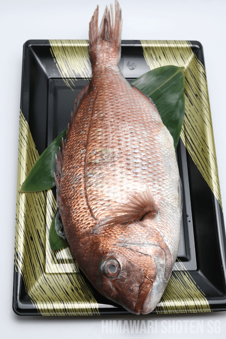 Fresh Madai Tai Sashimi (真鯛・マダイ) - Himawari Shoten